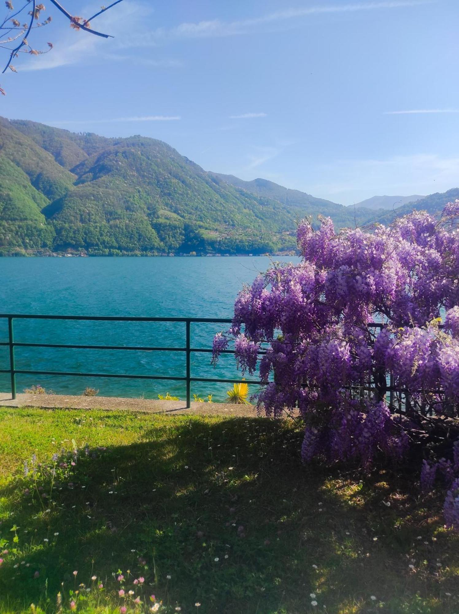 Lfsuite Luganolake Terrazza Spiaggia Privata Parking Wi-Fi Netflix Porlezza Dış mekan fotoğraf
